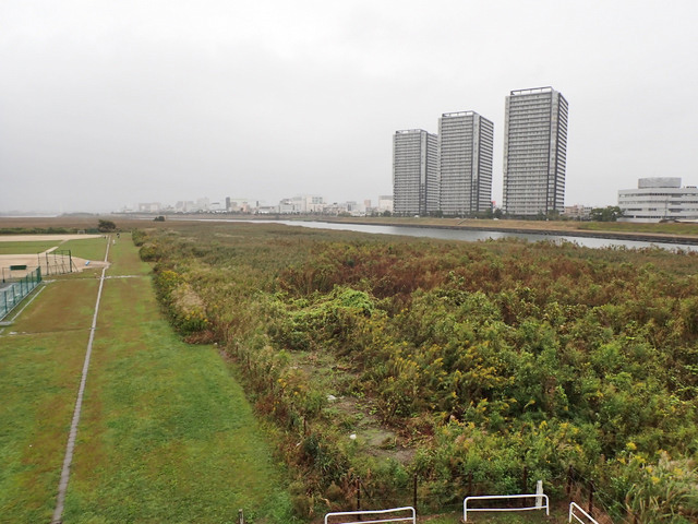 02-tamagawa.jpg