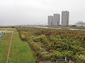 02-tamagawa_s.png