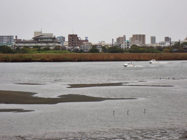 18-tamagawa2.jpg