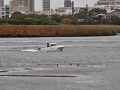 18-tamagawa3_s.png