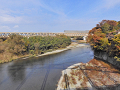 03-tamagawa_s.png