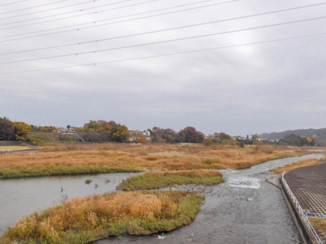37-tamagawa.jpg