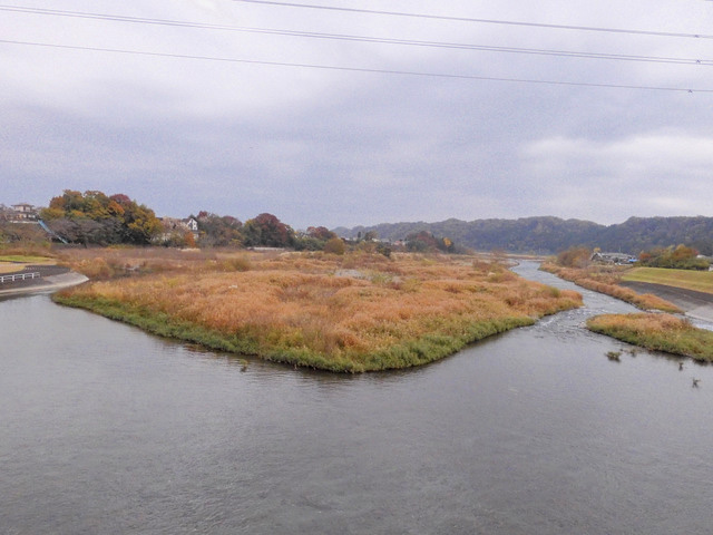 37-tamagawa2.jpg
