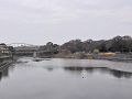 37-tamagawa4_s.png