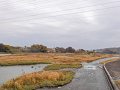 37-tamagawa_s.png