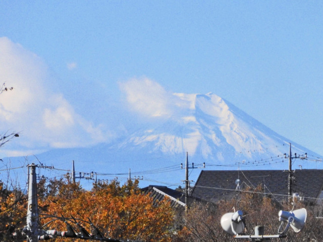 05-fuji.jpg