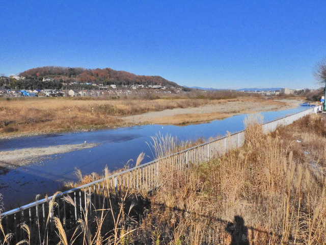 02-tamagawa.jpg
