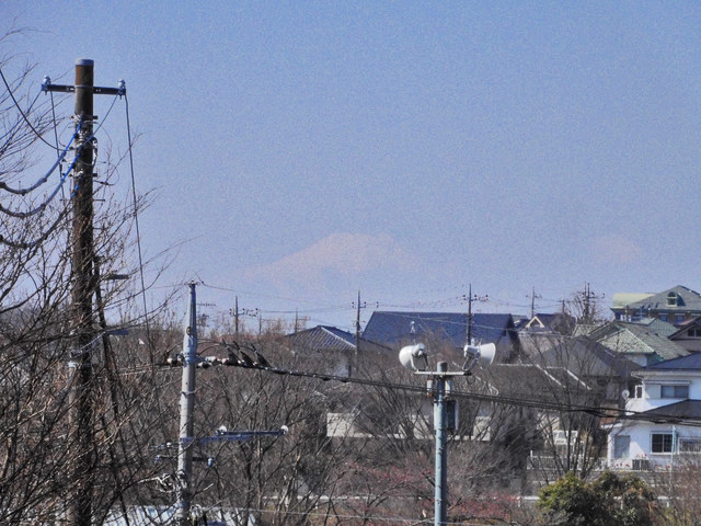 04-fuji.jpg