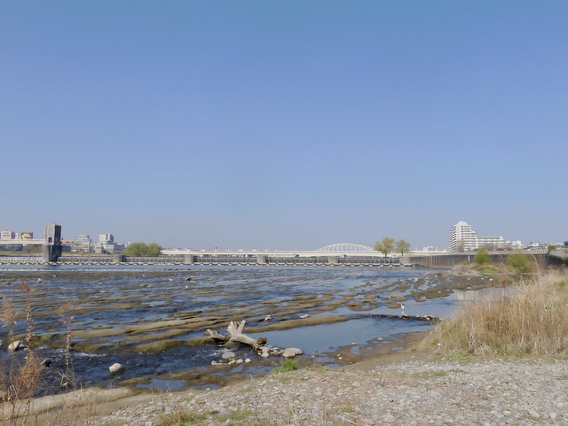 21-tamagawa2.jpg
