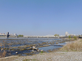 21-tamagawa2_s.png