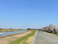 39-tamagawa4_s.png
