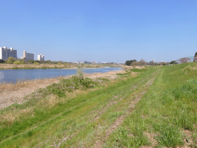 46-tamagawa.jpg