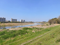 46-tamagawa2_s.png
