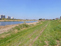 46-tamagawa_s.png