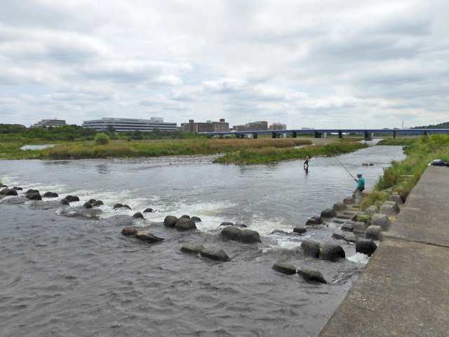 13-tamagawa.jpg