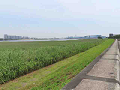 04-tamagawa2_s.png