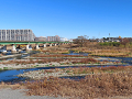 09-tamagawa_s.png