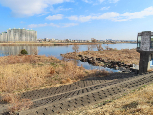 01-tamagawa.jpg