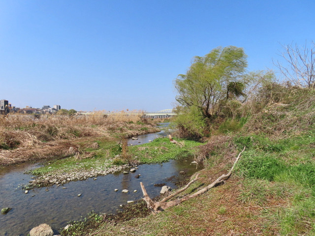 17-tamagawa.jpg