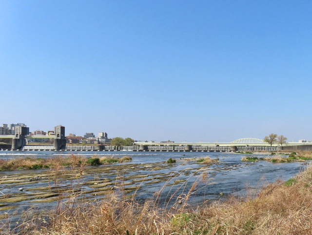 17-tamagawa2.jpg