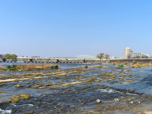 17-tamagawa5.jpg
