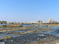 17-tamagawa5_s.png