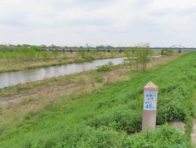 74-tamagawa.jpg