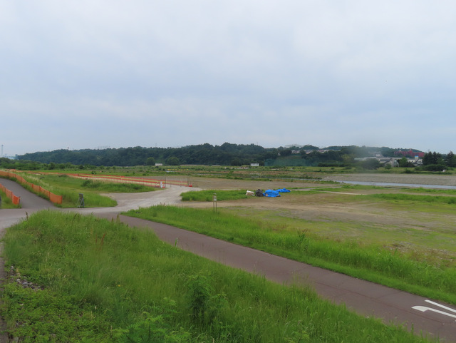 10-tamagawa3.jpg