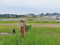 10-tamagawa_s.png