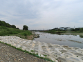 58-tamagawa_s.png