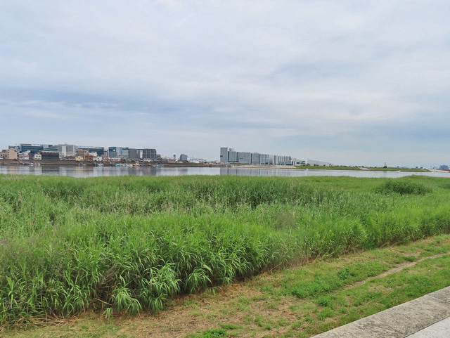 09-tamagawa.jpg