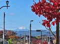 01-fujisan_s.png