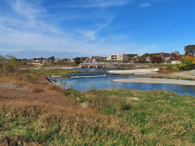 60-tamagawa.jpg
