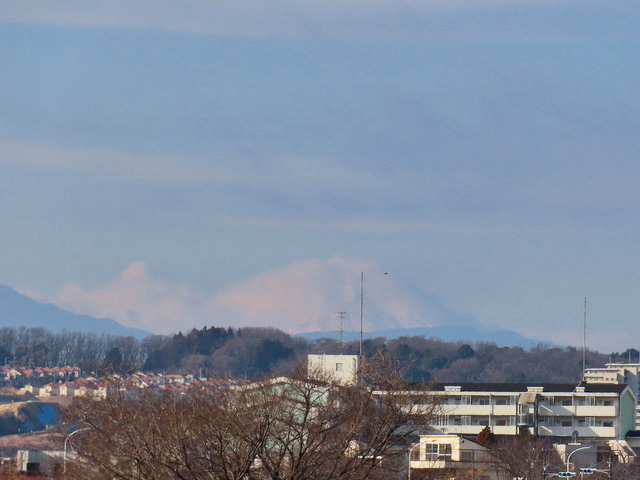 03-fujisan.jpg