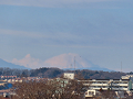 03-fujisan_s.png