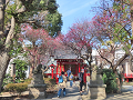 06-kitanojinja_s.png