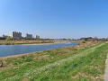 47-tamagawa2_s.png