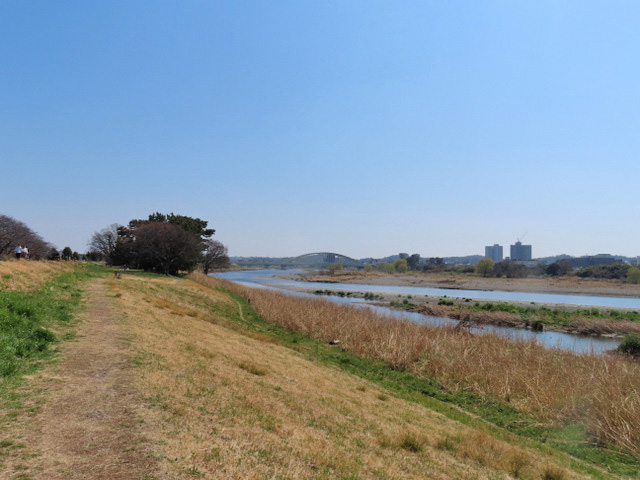 50-tamagawa2.jpg
