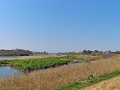 50-tamagawa_s.png