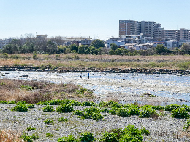 28-tamagawa.JPG