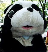 �p���_�̋C����݁@03/04/28